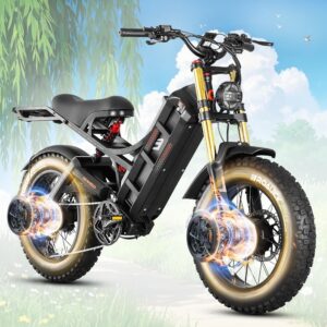 Conquering Trails Together: Our Take on the eAhora Romeo II E-Bike